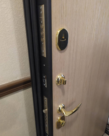Фото двери с порошком №98