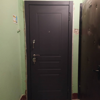 Фото двери с порошком №31