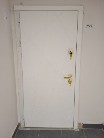 Фото двери с порошком №142