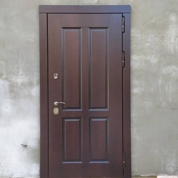 Фото двери с порошком №41