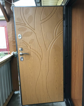 Фото двери с порошком №55