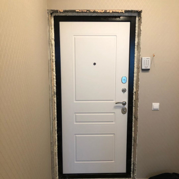 Фото двери с порошком №71