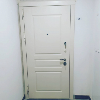 Фото двери с порошком №80