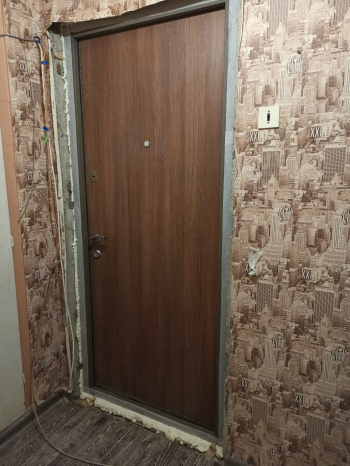 Фото двери с порошком №136