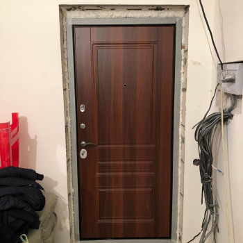 Фото двери с порошком №57