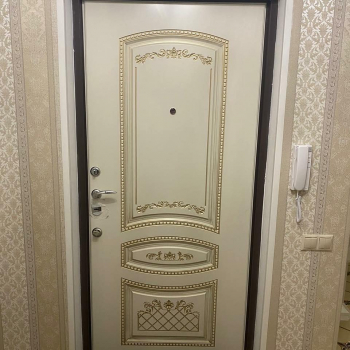 Фото двери с порошком №25