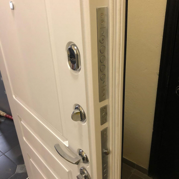 Фото двери с порошком №34