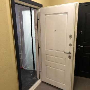 Фото двери с порошком №33