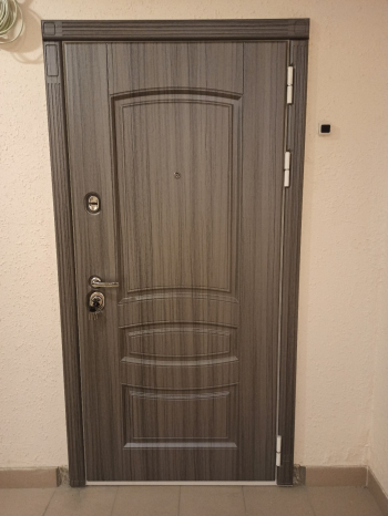 Фото двери с порошком №130